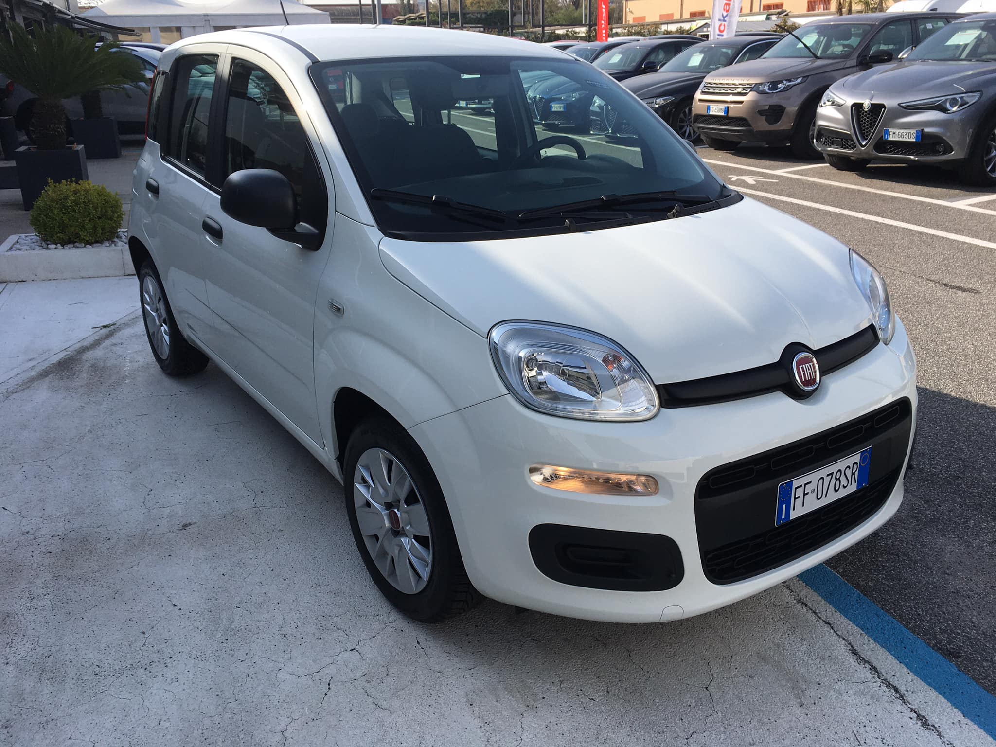 Fiat – Panda
