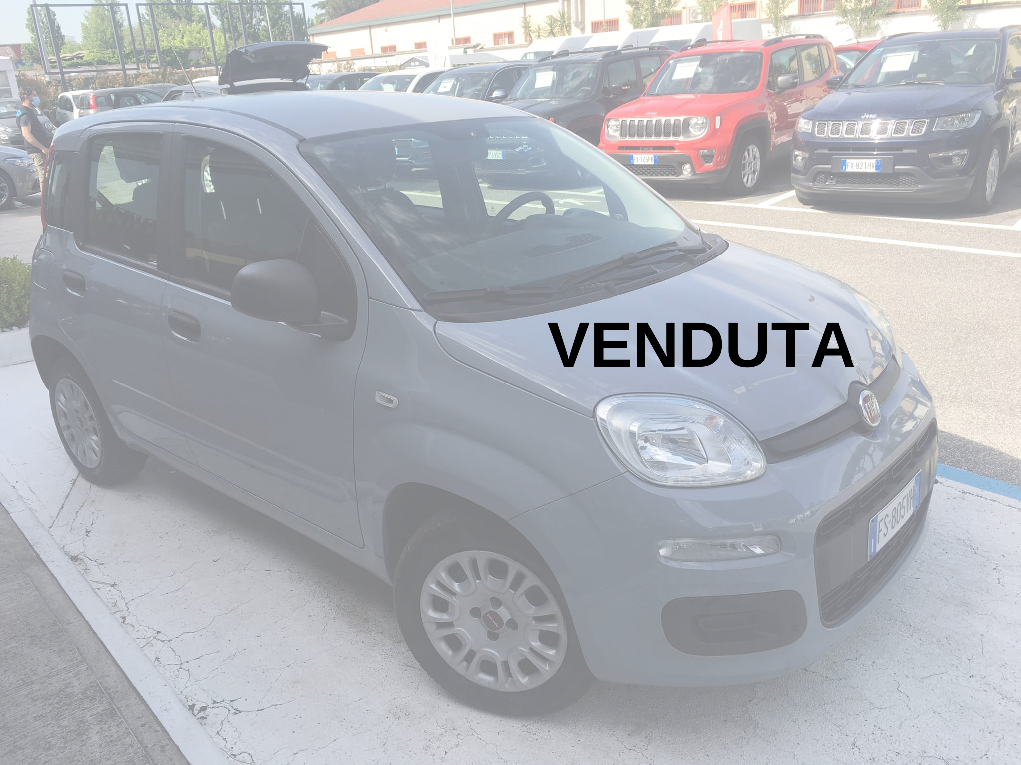 Acquista Fiat – Panda